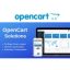 create-fix-and-customize-your-opencart-website-228x228-1-1.jpeg